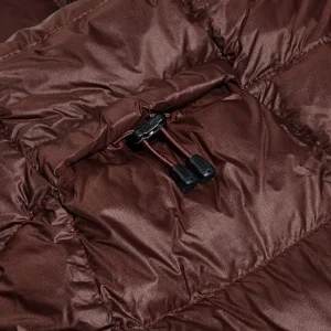 Women's Ewden Synthetic Insulated Jacket - Brown^Berghaus Cheap